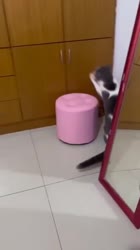 360x640