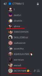 242x437