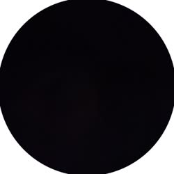 384x384