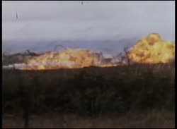 490x360