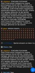 356x735