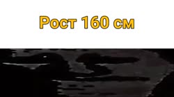1280x720
