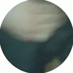 356x356