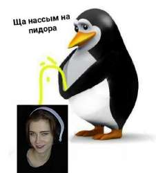507x560