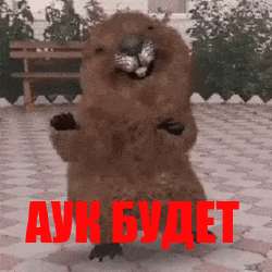 320x320