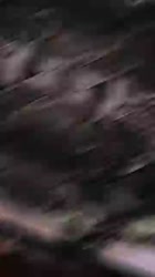 360x640