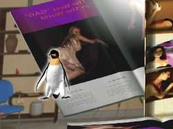 640x480