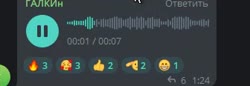 336x116