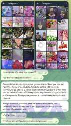 480x842