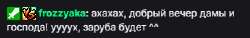 333x51