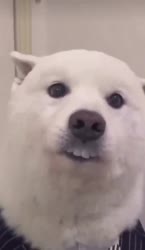 630x1080