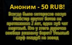 538x337