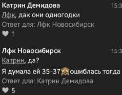 406x317