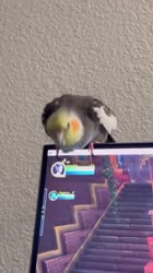 360x640
