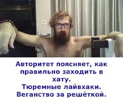 533x448