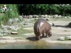 480x360