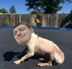 618x600