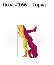 797x960