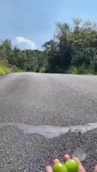 360x638