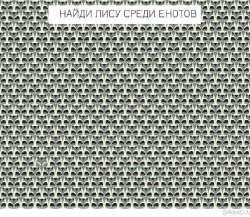600x523