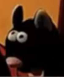 299x359