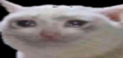1248x598