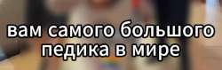 988x313