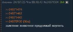 346x155