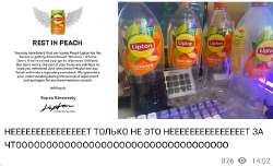 589x360