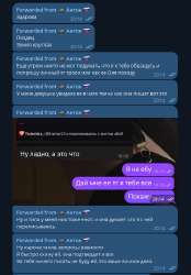 496x710