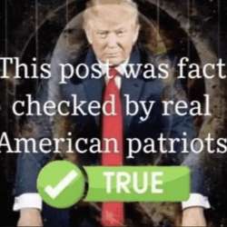 500x500