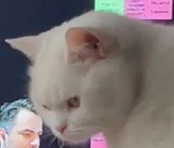 696x594