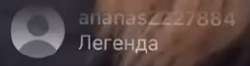 261x69