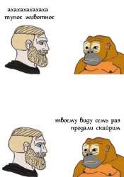 700x1000