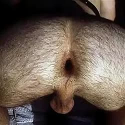 320x320