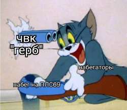 800x698