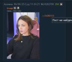 388x333