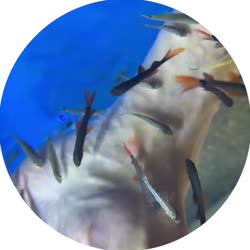 400x400