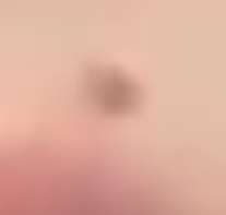 207x197