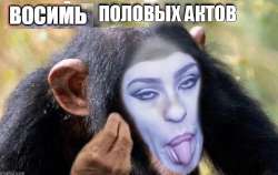 620x392