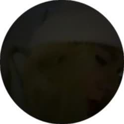 384x384