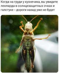 700x864
