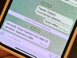 442x336