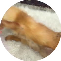 400x400