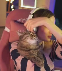 380x430