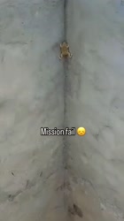 360x640