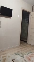 480x854