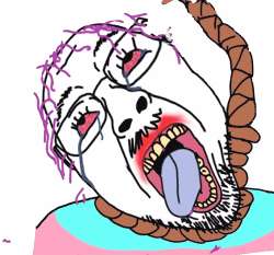 500x466