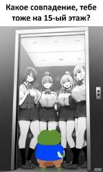 648x1080