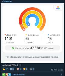 440x516